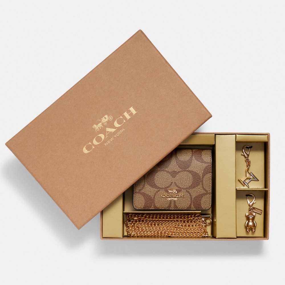 NWT Coach Boxed Mini Wallet On A Chain In Blocked Signature Canvas